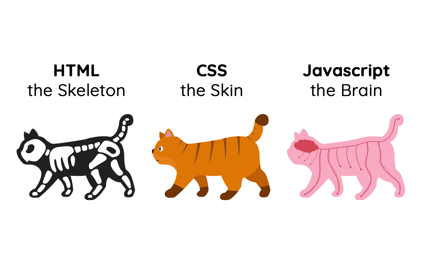 CSS sebagai kulit dari sebuah kerangka