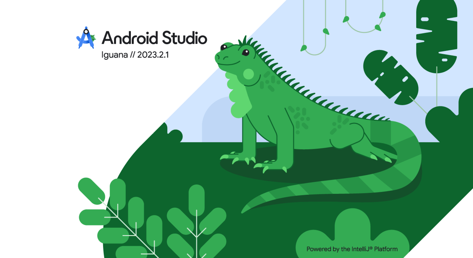 Android Studio Iguana Splash Screen